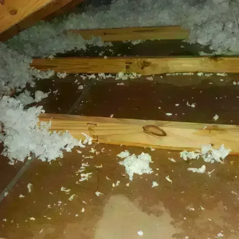 Attic Water Damage in Henry County, AL