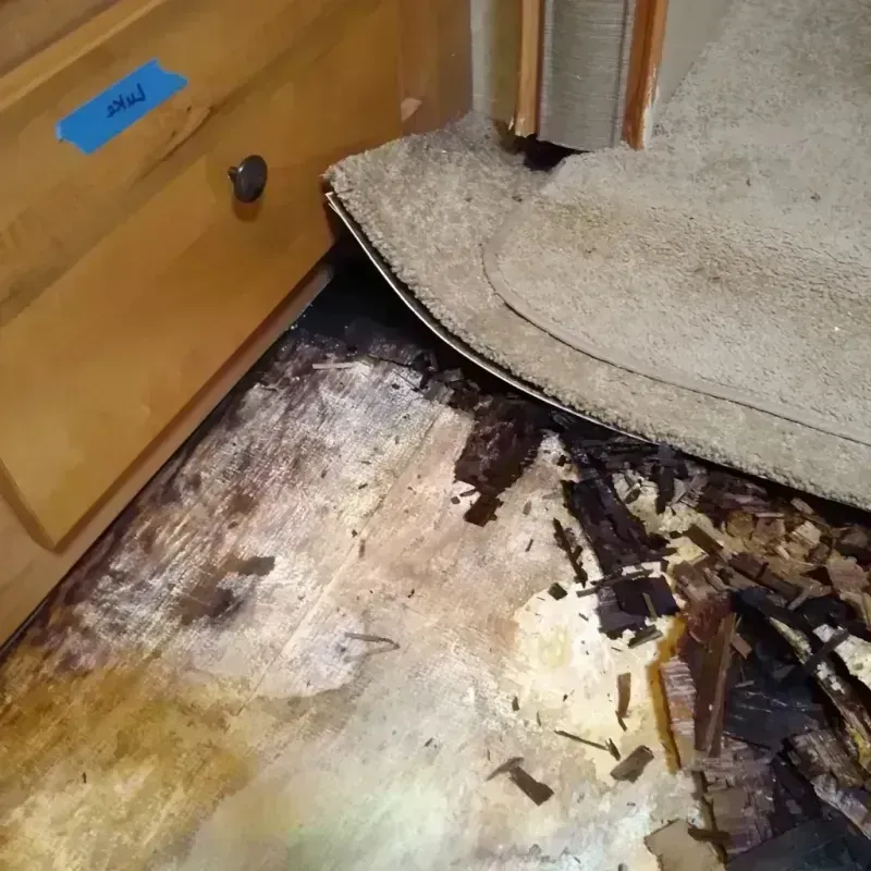 Wood Floor Water Damage in Henry County, AL